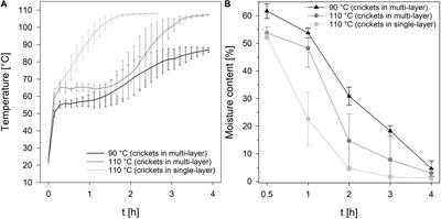 Thermal Impact on the Culturable Microbial Diversity Along the Processing Chain of Flour From Crickets (Acheta domesticus)